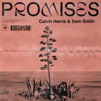 Sam Smith - I&#039;m Not Here To Make Friends