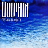 Дельфин - Вопросы